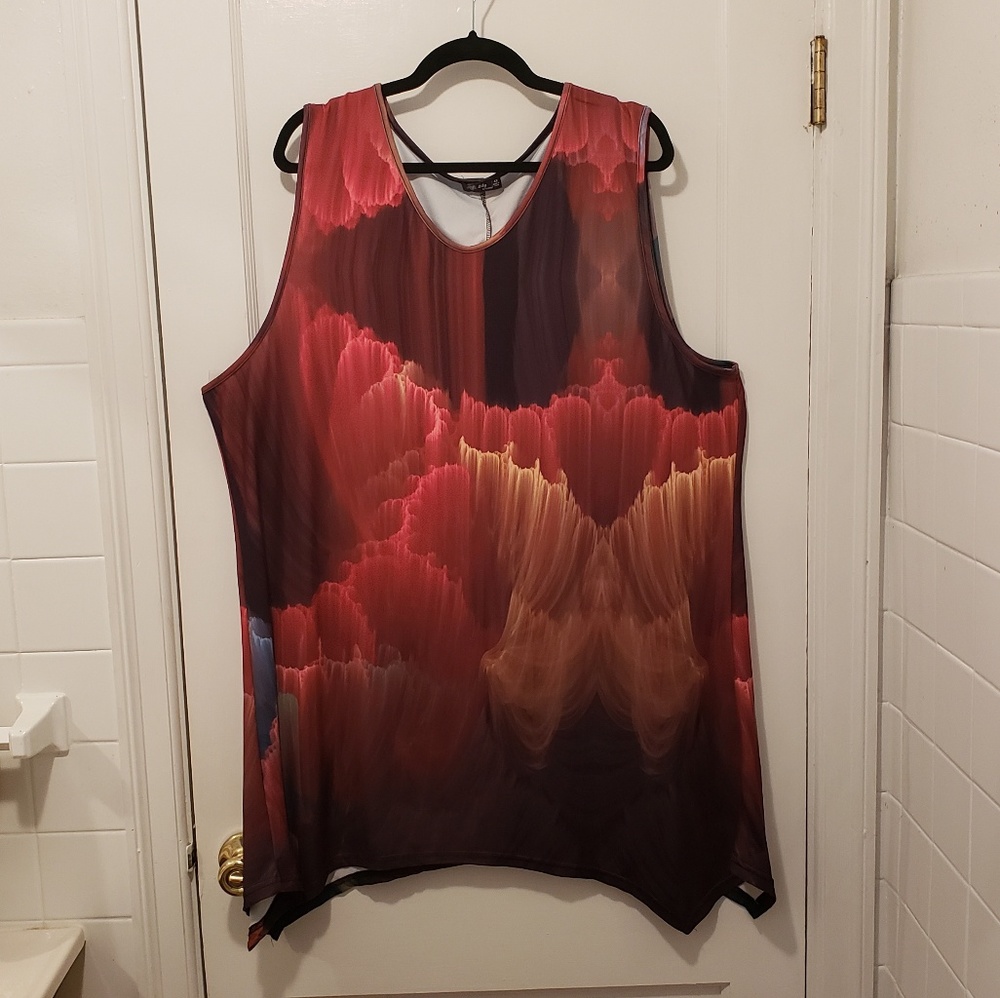 Gorgeous rust tunic by Lily 4X